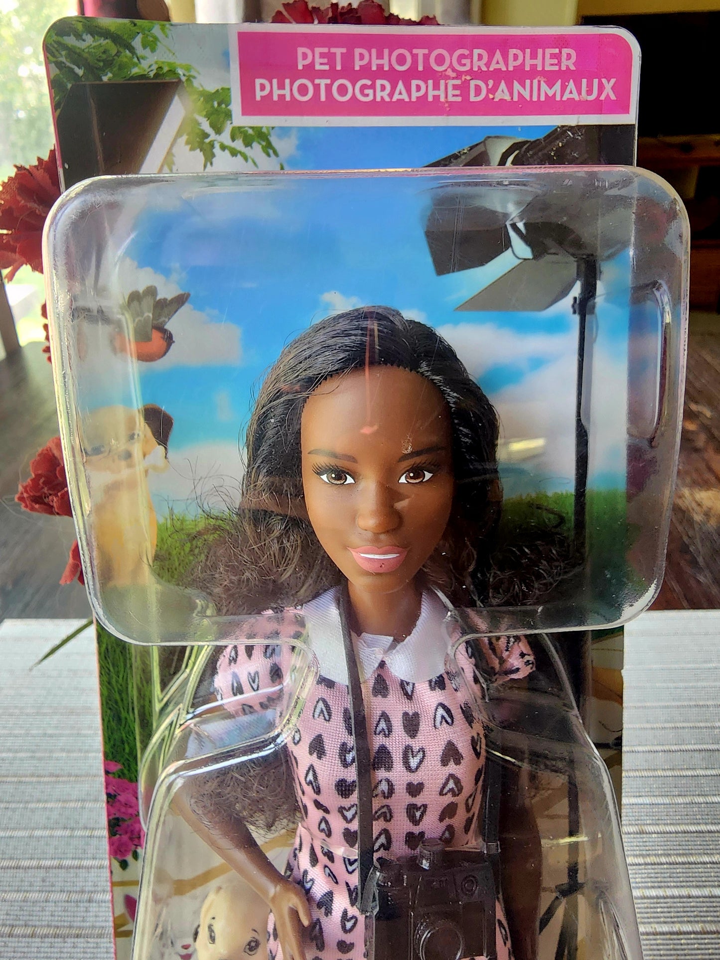Barbie "You Can Be Anything" Pet Photographer Doll Set With Dog NIB #HCN10
